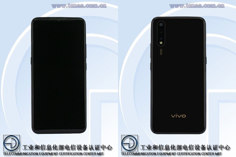 Vivo