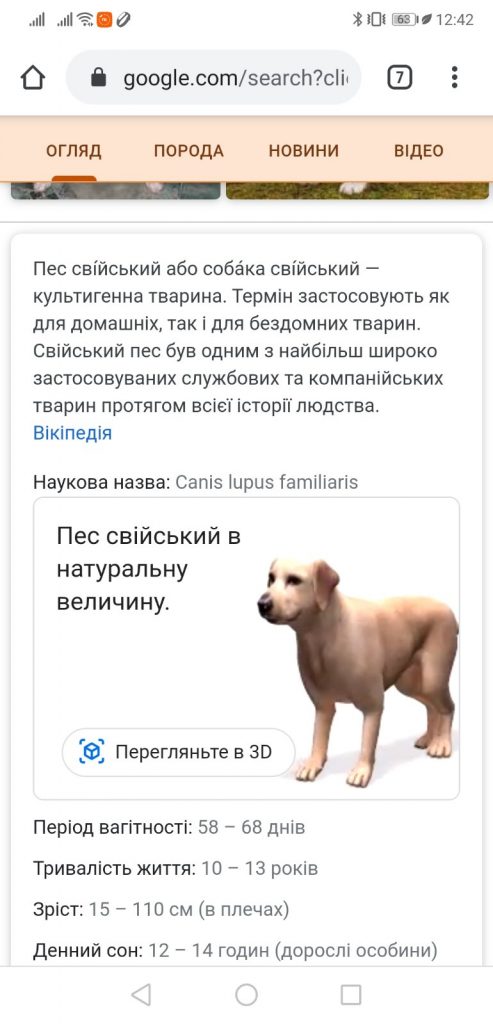 Собака в 3D