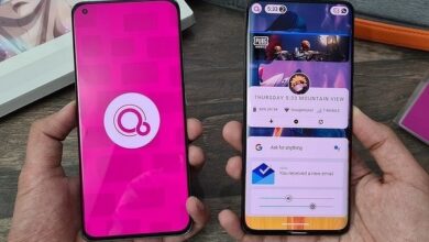 Fuchsia OS