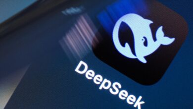 DeepSeek